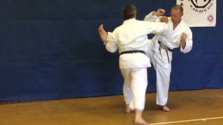 Goju Ryu Karate - Ippon Kumite 4