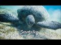 4k: Snorkeling at the Three Corners Sea Beach Resort and Steigenberger at Coraya Beach / Marsa Alam