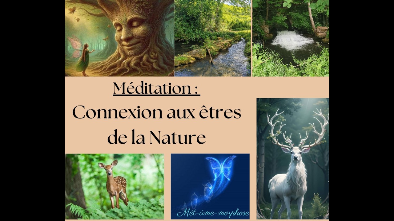 Méditation : Connexion aux Êtres de la Nature