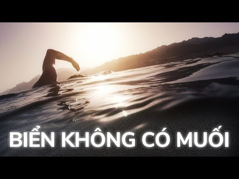 Video Chuyện gì sẽ xảy ra nếu biển không còn muối? - youtube