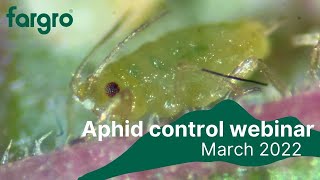 Selection of biological species for aphid control