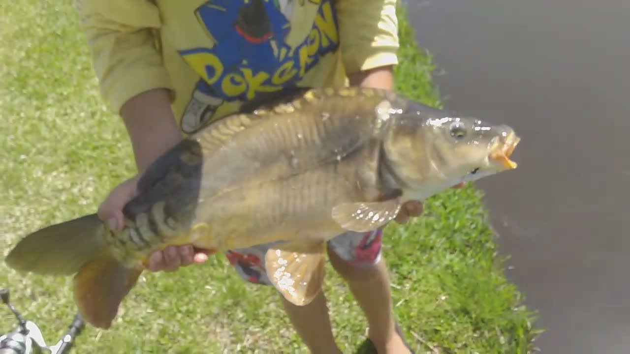 Fomos em busca das brutas/ big fish / só puchada boa
