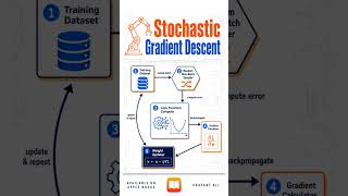 What is Stochastic Gradient Descent? #ai #machinelearning #machine