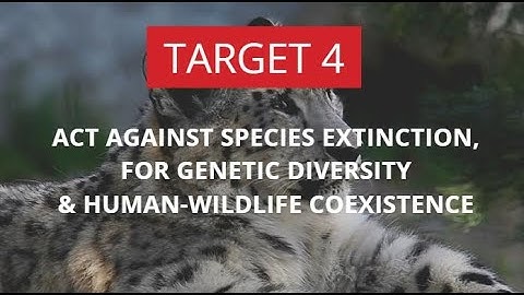 Transformative actions needed to implement the KMGBF Target 4!