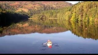 Autumn Trees On Visit To Loch Faskally Pitlochry Highland Perthshire Scotland