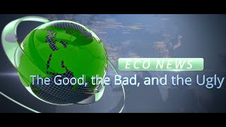 Eco News: The Good the Bad and the Ugly Ep 2 May 2021: Bonnethead Sharks and Sri Lankan Oil Spill
