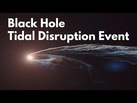 Black Hole Tidal Disruption Event