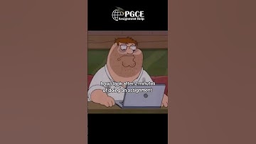 Me After 120 Seconds Of Starting My Assignment 😂 | PGCE Assignment Help