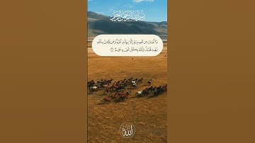 • مَا أَصَابَ مِن مُّصِيبَةٍ إِلَّا بِإِذْنِ اللَّه • #القارئ_رعد_الكردي