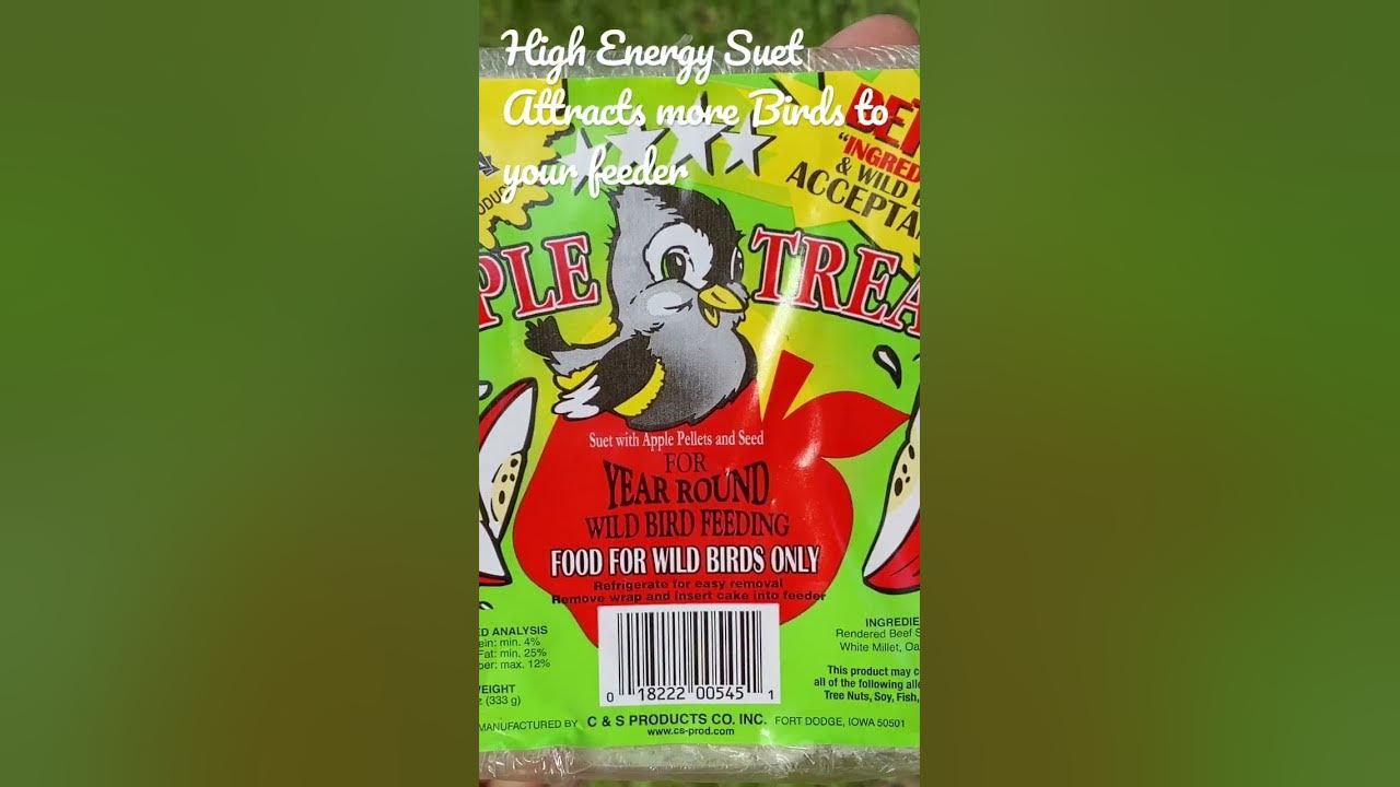 high-energy-suet-attracts-more-birds-to-your-feeder-birdcam-birds