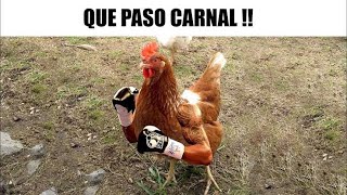 MEMES VARIADOS #194