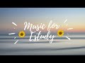 Relaxing Music for Study and Work -  No Copyright Music #relaxingmusic #studymusic #workmusic