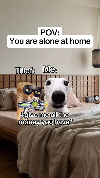 Grandma the best #shorts #catmemes #relatable #funny #whatssofunny