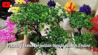 Cek Harga Tanaman Hias Langsung di Pasar Tanaman Hias PASTY Yogyakarta