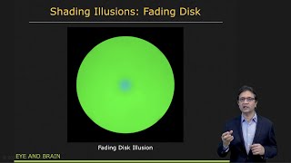 Shading Illusions | Shape from Shading