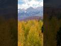 Northern Autumn • پاییز شمال