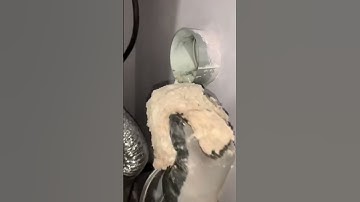 Dryer reads D90 code! This is saying there is a 90% clog in the dryer vent! #asmr #oddlysatisfying