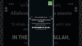 Dua before sleeping | Mufti Menk