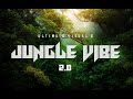 Jungle vibe 20  a cinematic short film  by ultimate visuals  4k cinematic  feel the vibe