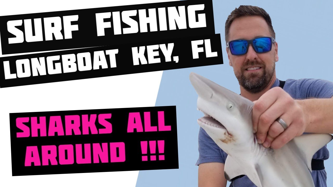 Surf Fishing Longboat Key Shark Fishing Winter Fishing YouTube