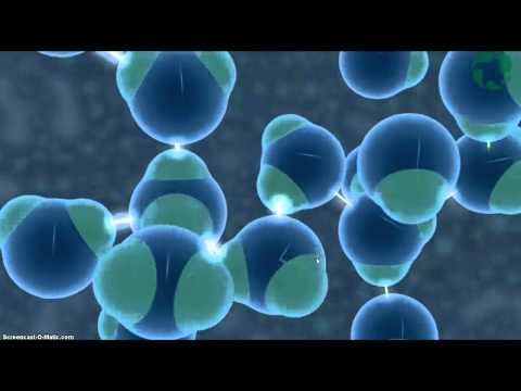 Video: Hvorfor beveger vannmolekyler seg fra lav til høy konsentrasjon?