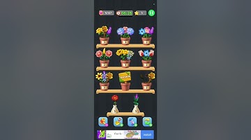 Blossom Sort Level 24 to 25