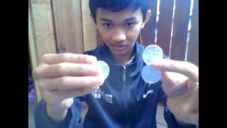 3 Fly Coin Magic