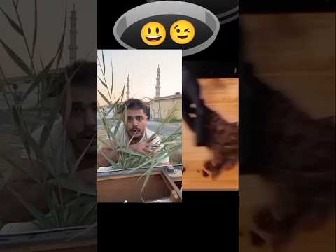 الاخ الندل ضحك العريفي اكسبلور المراه  المراره  ولده دويتو الحياني