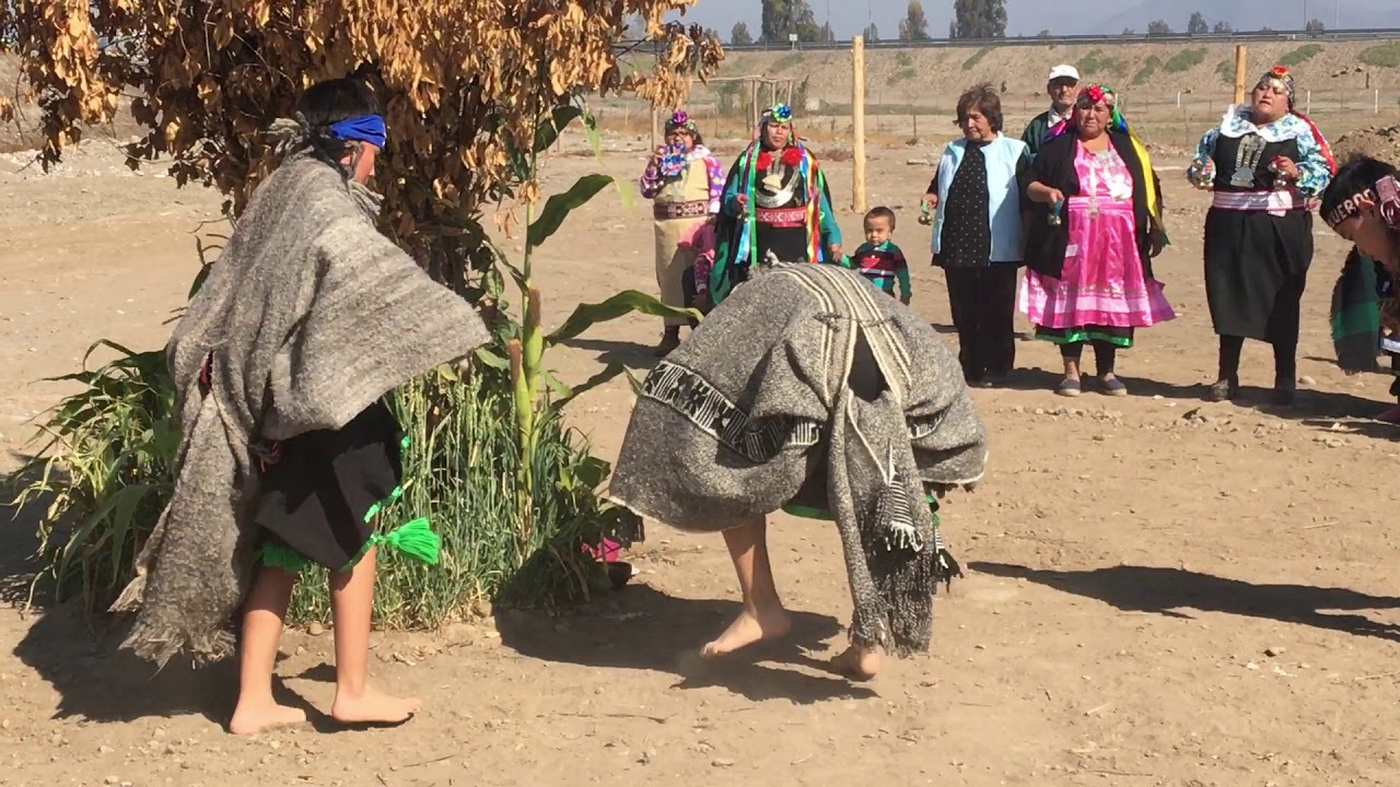 Danza mapuche Choique purrun requínoa 2019