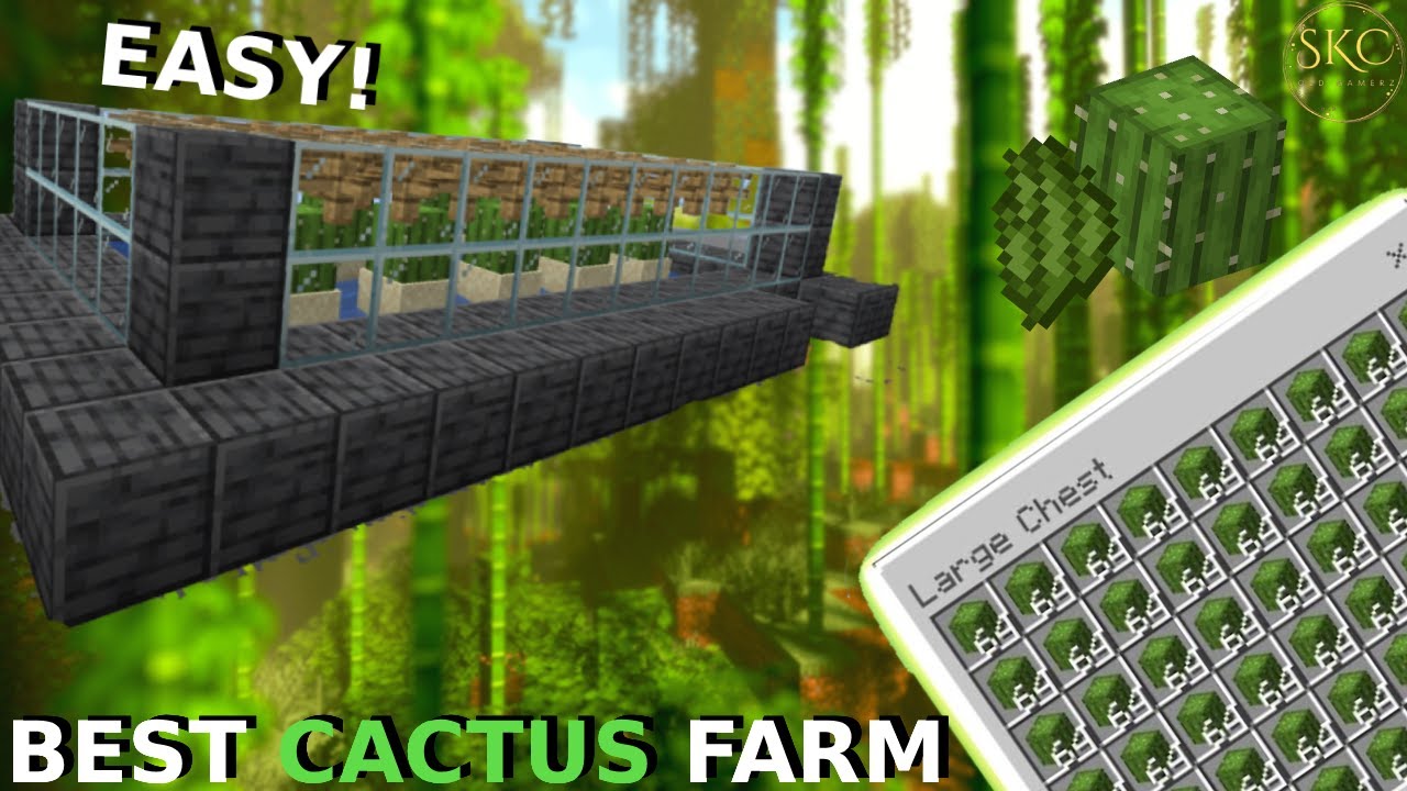 How to Create a Cactus Farm in Minecraft | Easy Automatic Cactus Farm ...