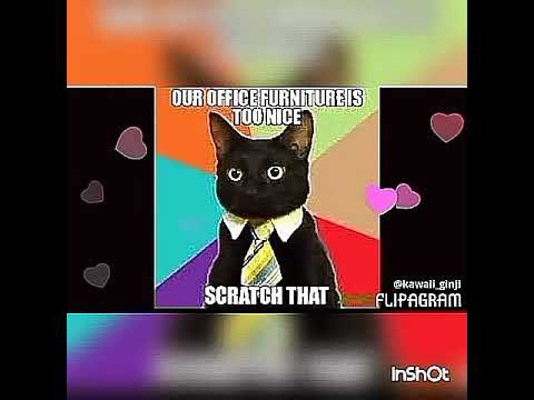 Cat Puns
