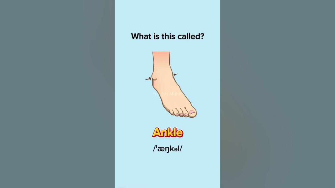 Learn body part in English englishvocabmastery