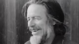 Flowing Like Water | Alan Watts