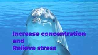 🔊 MUSIC FOR FOCUS  (LOOPING~STRESS RELIEF~INCREASE CONCENTRATION) 🏵️