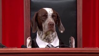 Taylor v. United States: Oral Argument - February 23, 2016
