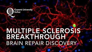 Multiple Sclerosis Breakthrough