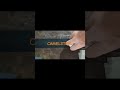 #ppgi CAMELSTEEL PPGI coils painting film testing