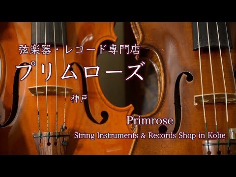 Primrose （神戸） - YouTube