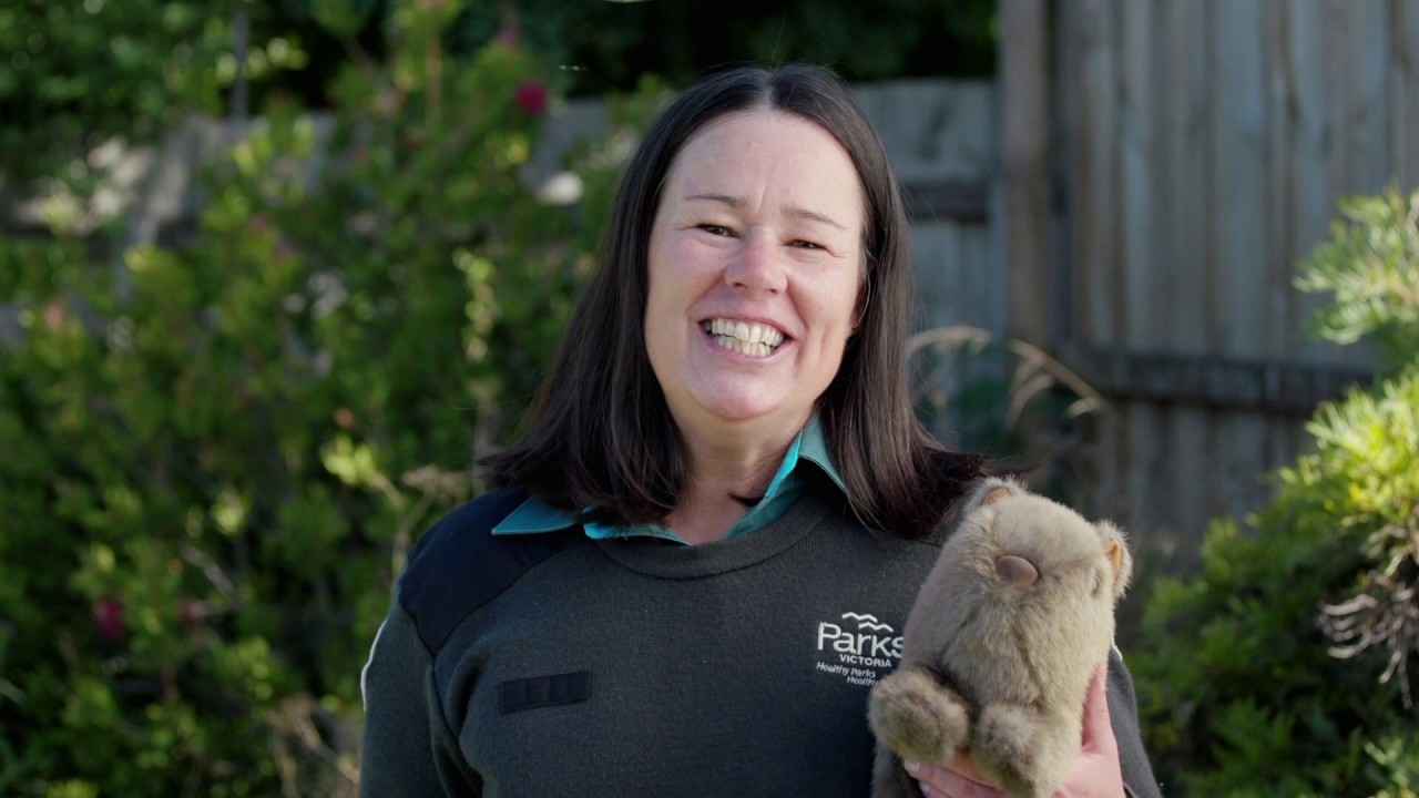 How to set up a tent in the garden and have a nature adventure at home