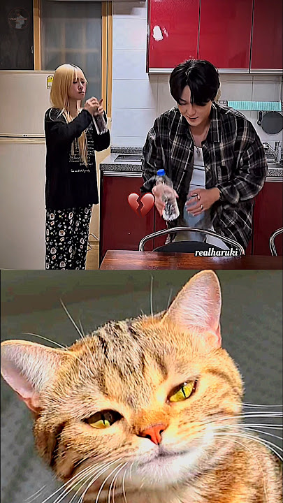 mission complete 馃ぃ #cat #meme #dance #trending