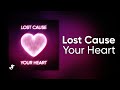 Lost Cause Your Heart Cyduck Lyric Video mp3