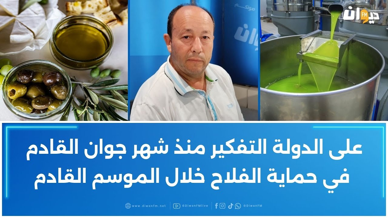 ارتفاع بـ 16% في أسعار زيت الزيتون التونسي خلال نصف شهر فقط: فوزي الزيّاني يكشف