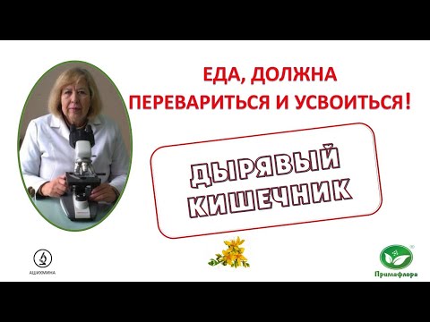 Рефлюкс Синдром дырявого кишечника О процессе переваривания и всасывания пищи