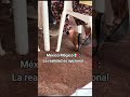 sus pasos #fypシ゚ #humor #reels #viral #parati #reelsvideoシ #foryoupage #foryouシ #viralreelsシ