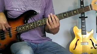 Video thumbnail of "Neil Diamond - Sweet Caroline - Bass Cover"