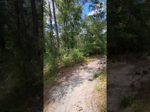 Croom Bike Trail Hike : Yellow to Blue Trail - Hq2