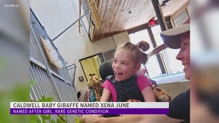Baby giraffe survives genetic condition inspired by the fight of young girl
