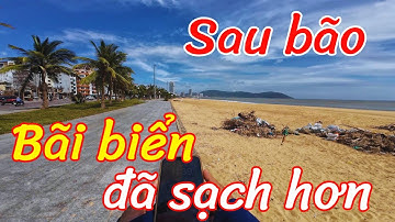 Bờ biển đã sạch. Cây đã thẳng.  Sau đổ nát là hình ảnh hồi sinh mạnh mẽ