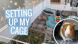 Setting Up My Guinea Pigs Cages + Watch Them Explore