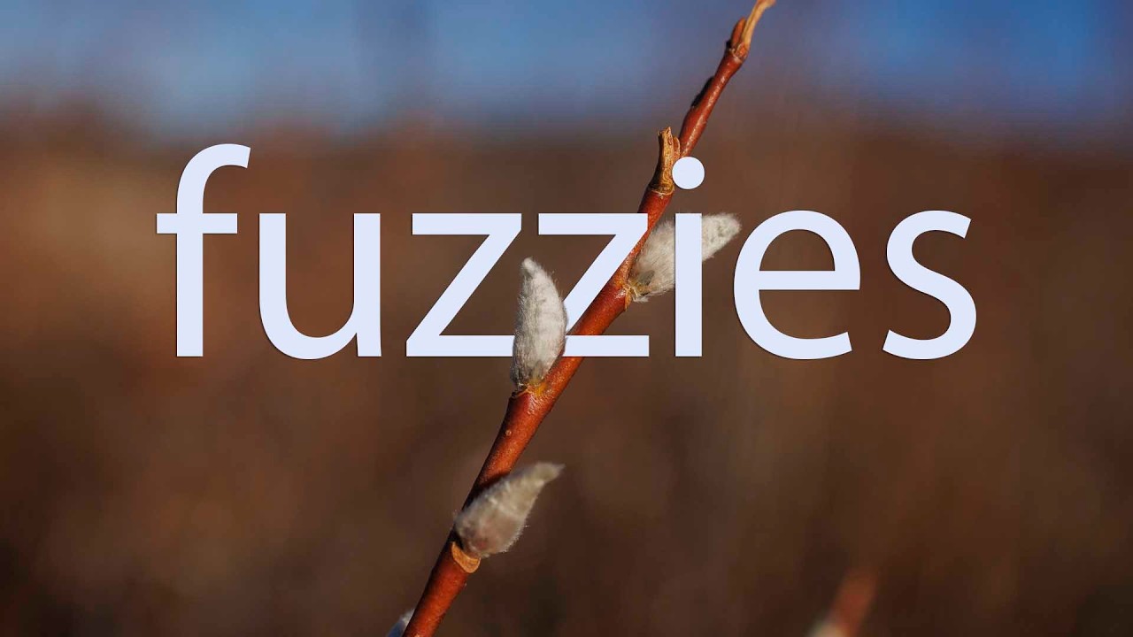 Fuzzies